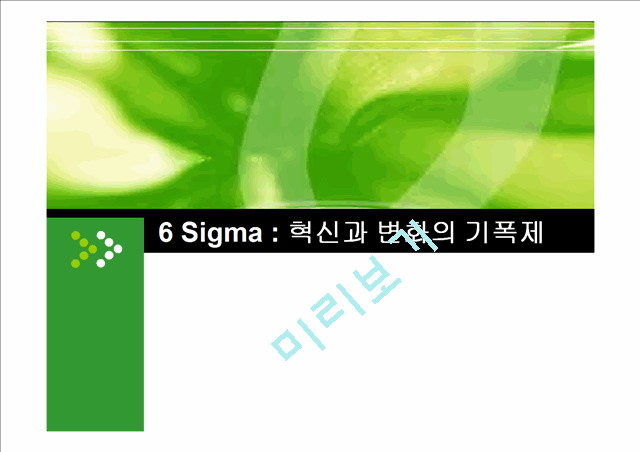 6 Sigma : 혁신과 변화의 기폭제   (1 )